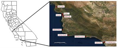 Hierarchy and Scale Influence the Western Monarch Butterfly Overwintering Microclimate